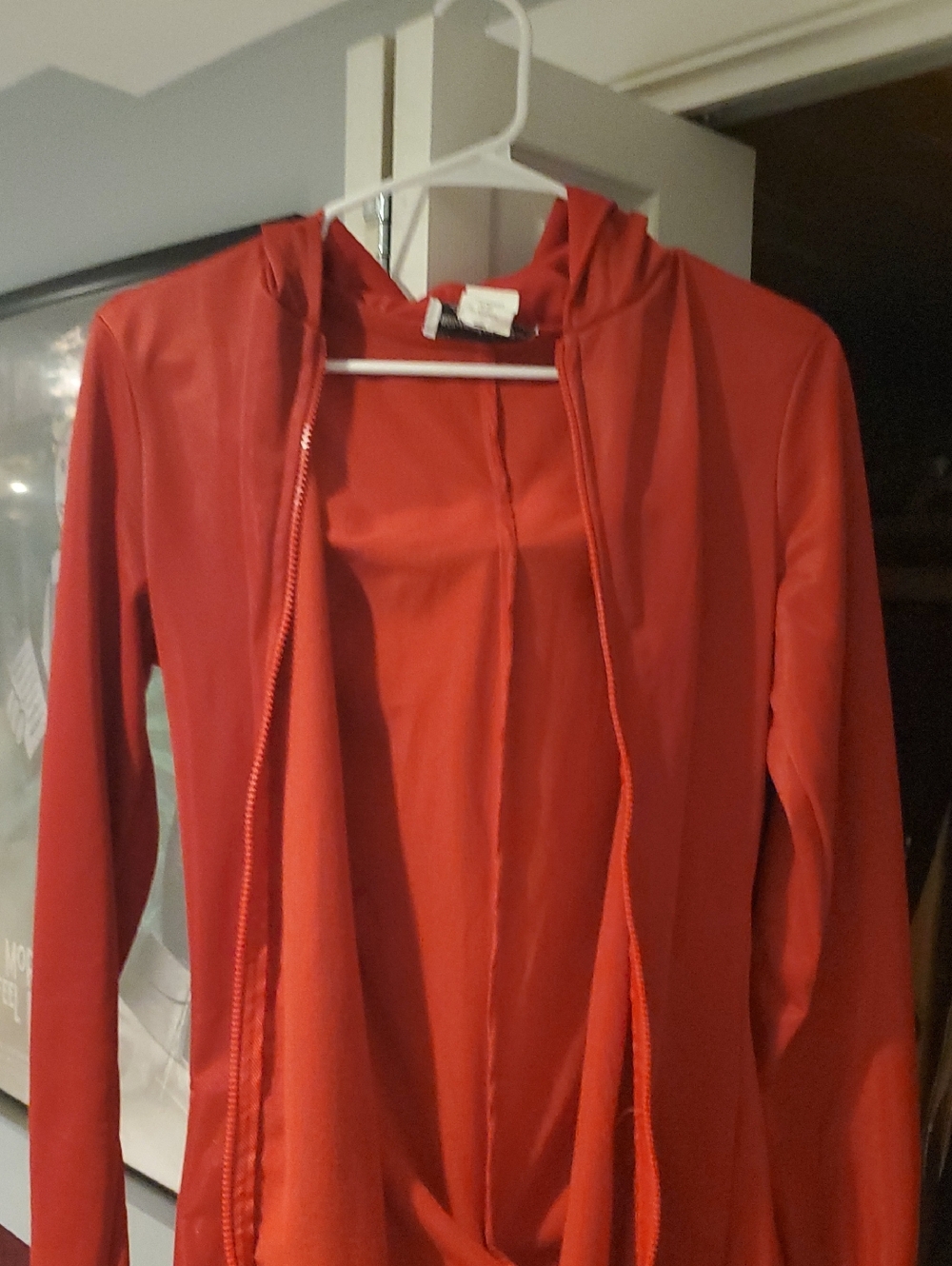 Womens Devil Costume